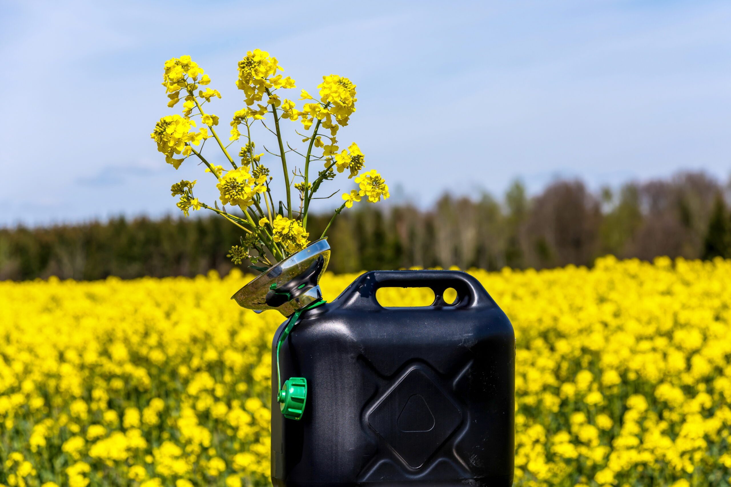 Foto: Adobe Stock