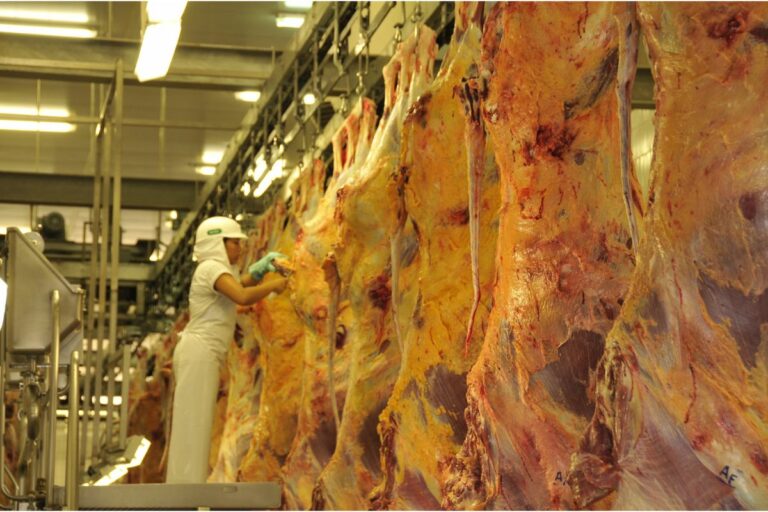 Carne bovina: produção bate recorde em 2023, diz CEPEA