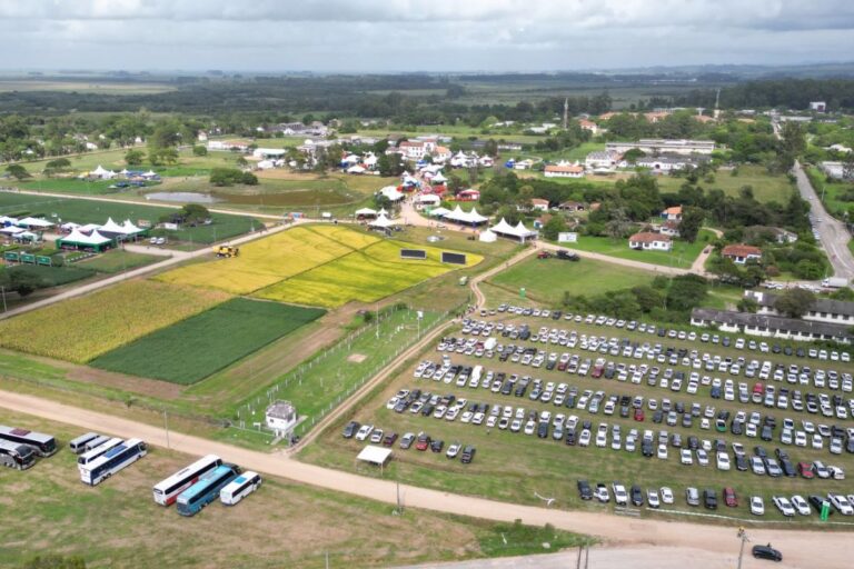 Abertura Oficial da Colheita do Arroz começa com painel sobre Gestão Rural