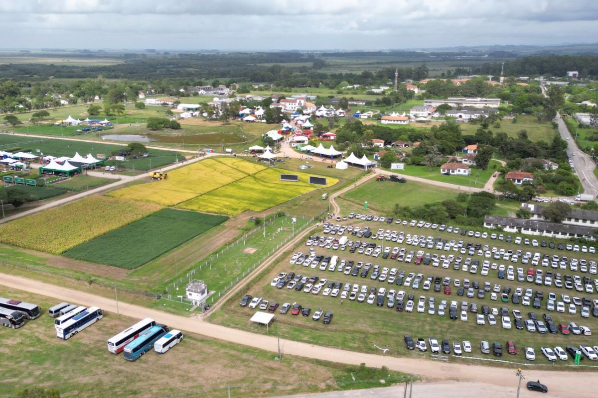 Foto: Divulgação