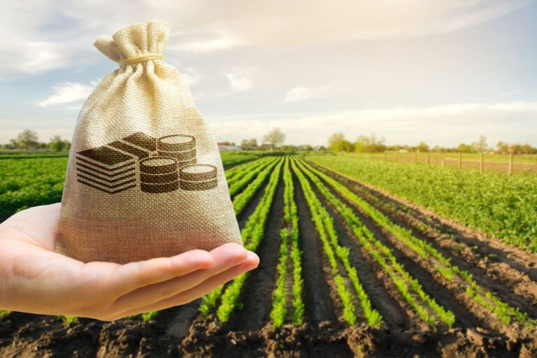 A cada dez agricultores, quatro não conseguem subsídio do seguro rural por falta de recursos do governo federal