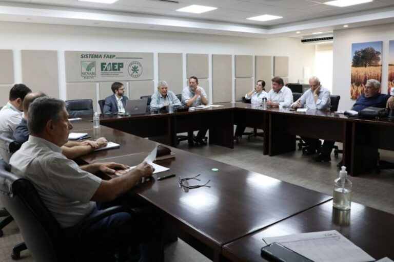 Seguro rural e Proagro lideram demandas da região sul para o próximo Plano Safra