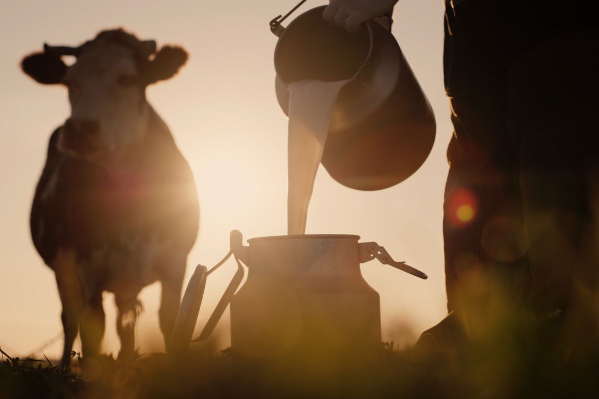 Foto: Adobe Stock