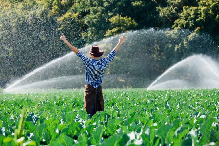 Cinco décadas de inovação agropecuária