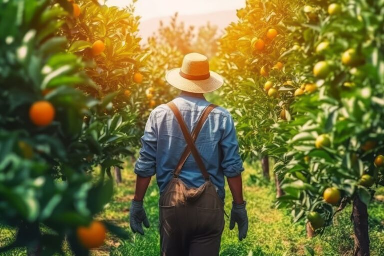 Produção de laranja gerou 8% mais empregos em 2023