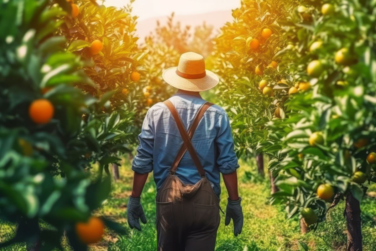 Foto: Adobe Stock