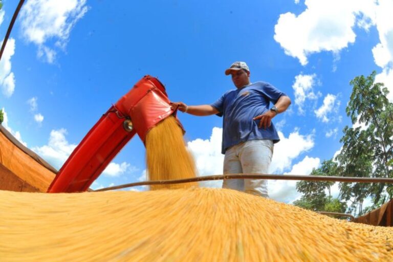 Exportações de Mato Grosso do Sul crescem 17,4%, com destaque para celulose, soja e minério de ferro