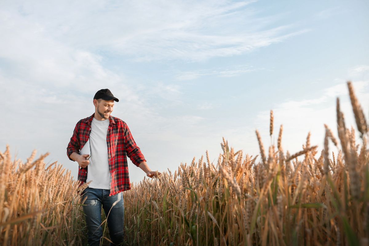 Foto: Adobe Stock