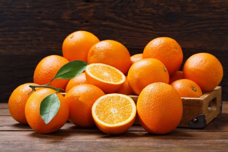 Citrus: alta nos preços da laranja persiste, apesar de queda na demanda