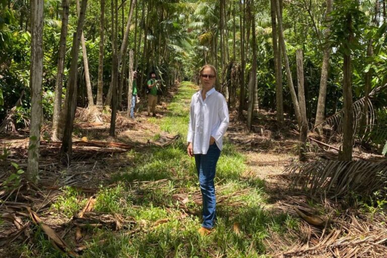 Rastreabilidade, um grande desafio para o pecuarista