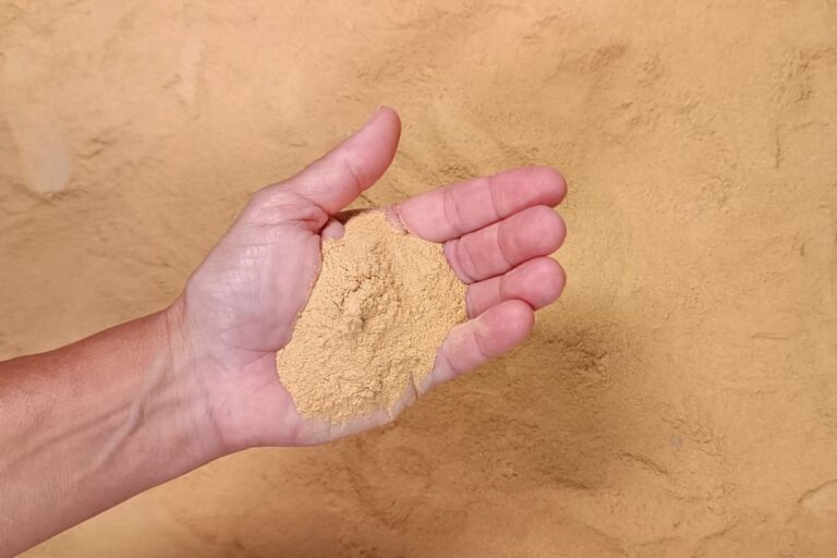 Avicultura: aditivo à base de plantas promete aumentar desempenho de ganho de peso em aves