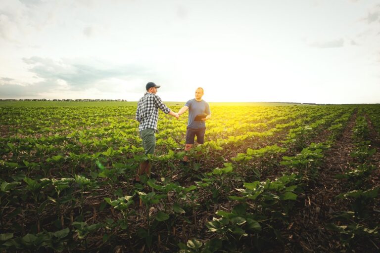 O melhor cenário para o agro brasileiro