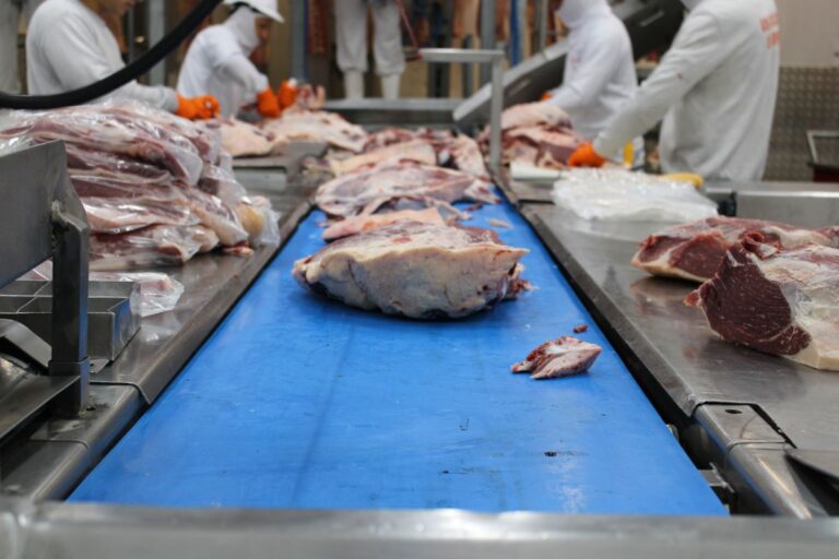 Angus envia primeiro lote de carne certificada para as Maldivas