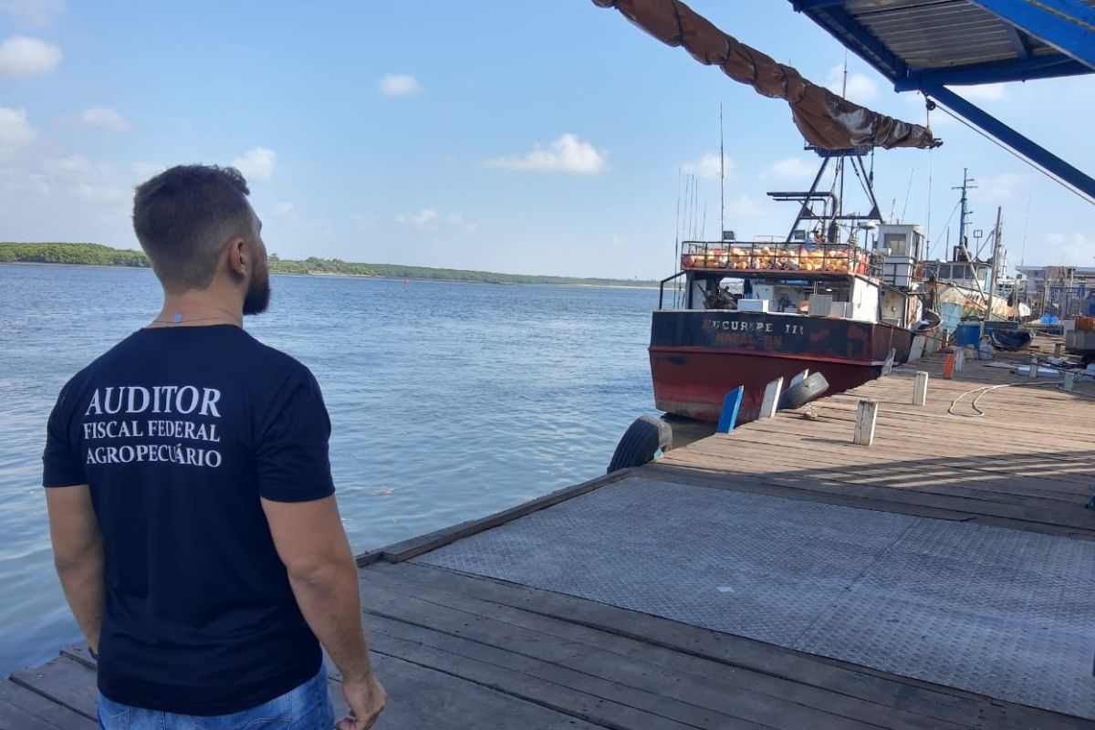 Foto: Anffa Sindical/Divulgação