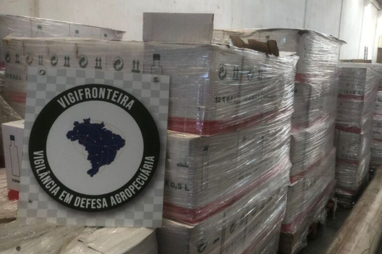 Operação fecha fábricas de azeite adulterado em quatro estados