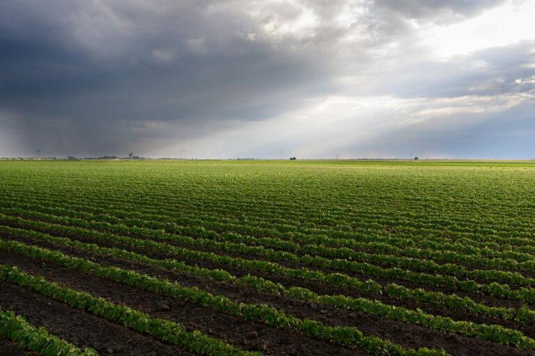 Chuva deve continuar na maioria das regiões do país neste domingo de Páscoa