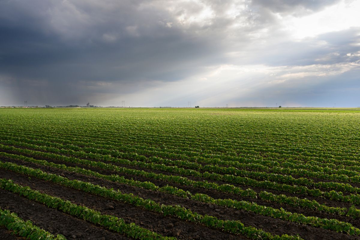 Foto: Adobe Stock