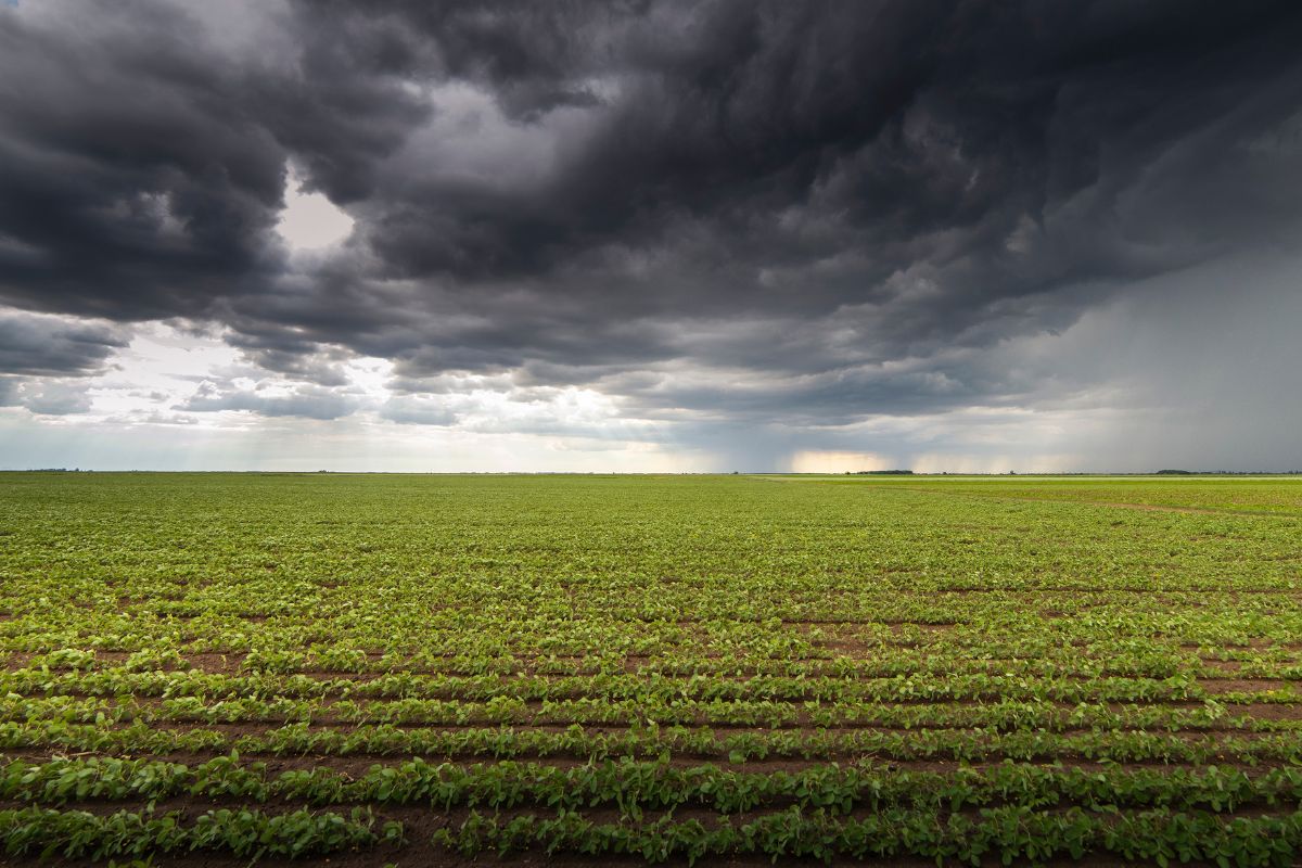 Foto: Adobe Stock