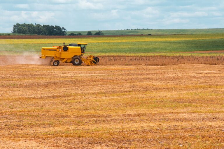 Colheita da soja 2023/24 no PR atinge 87% da área, aponta Deral