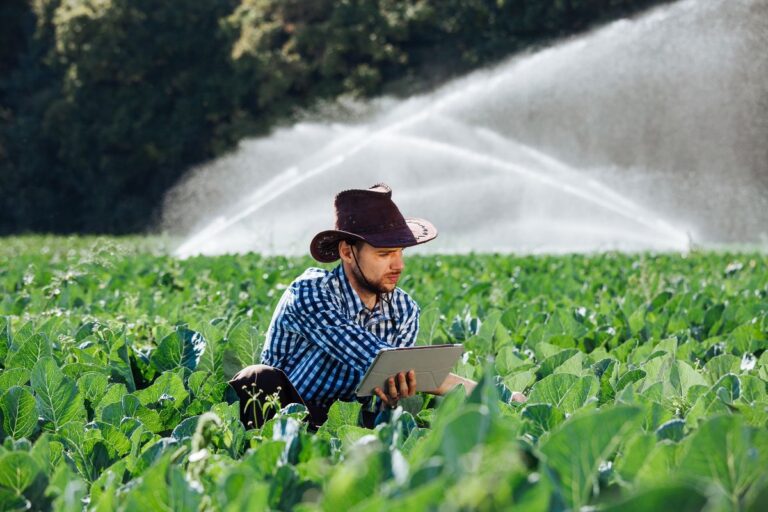 Tiago Fischer: o desafio da digitalização no agro Brasileiro – “da fumaça ao unicórnio”