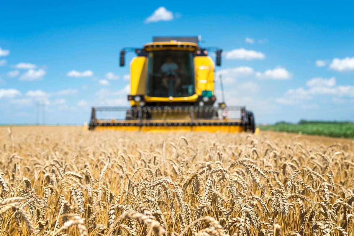 Foto: Secretaria de Agricultura e Pecuária de Goiás
