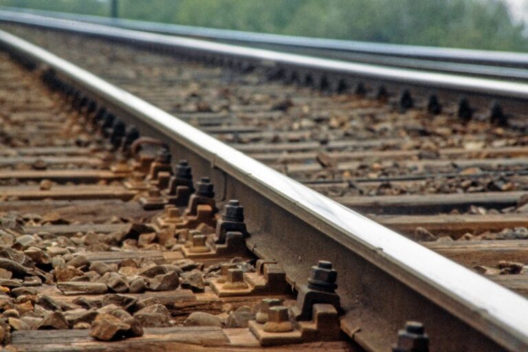 Ferrogrão: PSOL pede ao STF mais seis meses para estudar projeto da ferrovia 