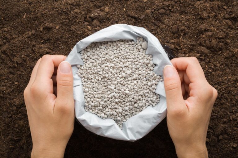 Entregas de fertilizantes crescem 11,6% em 2023 ante 2022, diz Anda