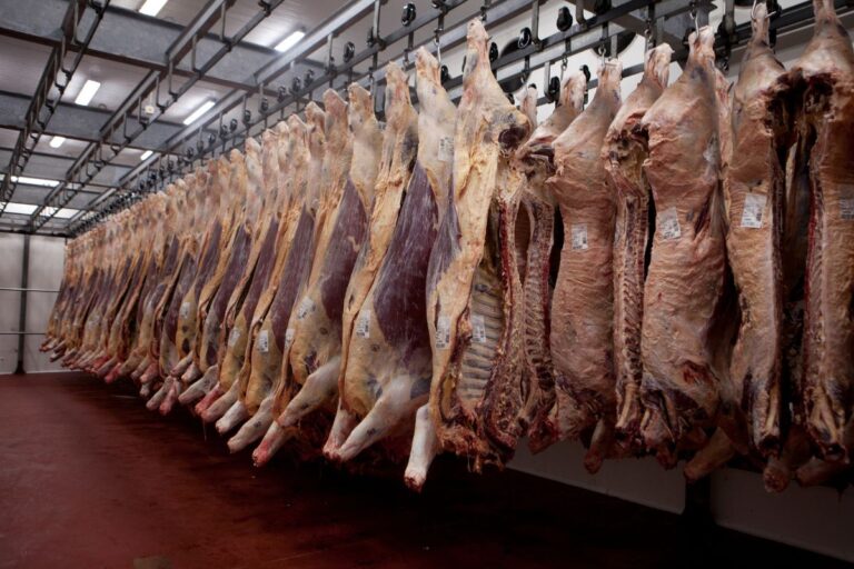 China habilita mais 38 frigoríficos brasileiros 