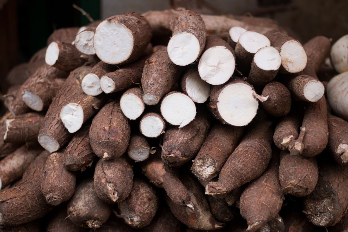 Foto: Adobe Stock