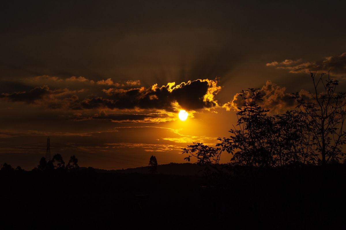 Foto: Adobe Stock