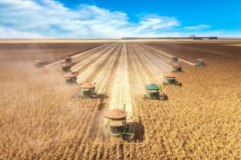 PIB da Agropecuária cresce 15,1% e puxa resultado total em 2023