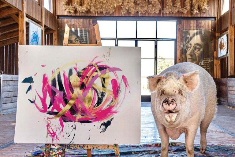 Pigcasso: a porca pintora que mergulhou nas tintas, e não na lama, e faturou milhões em obras de arte