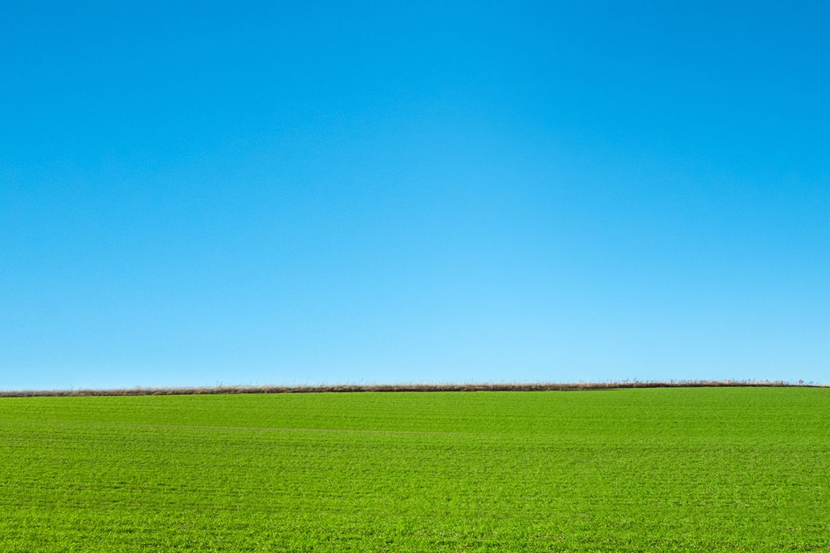 Foto: Adobe Stock