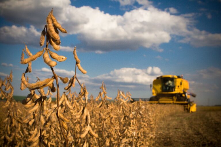 EUA vendem 263,9 mil toneladas de soja da safra 2023/24 na semana, diz USDA