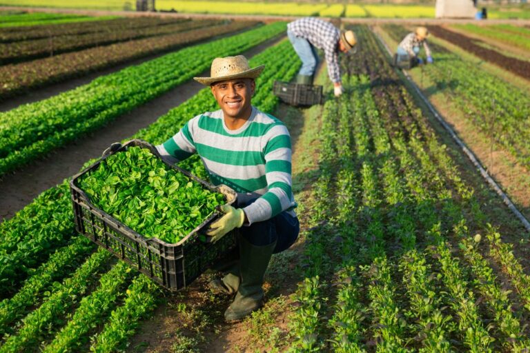 CNA lança cartilha sobre fiscalizações trabalhistas