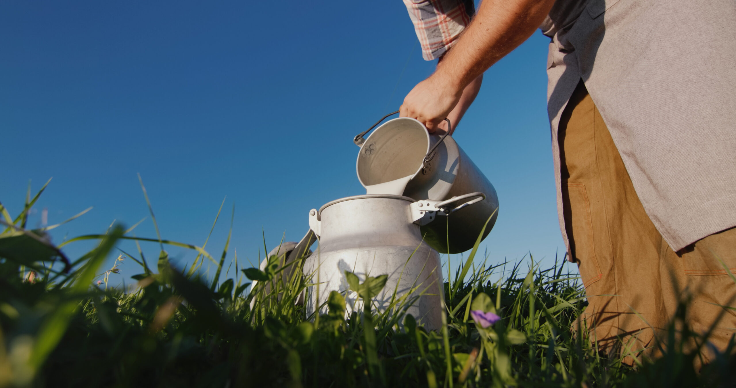 Foto: Adobe Stock