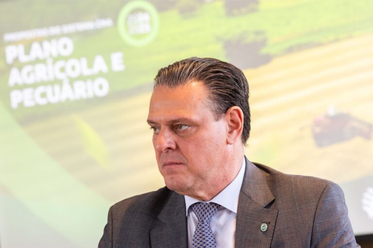 Agricultura ainda não confirma remanejamento do Proagro para o Seguro Rural; decisão deve ser anunciada no Plano Safra 24/25