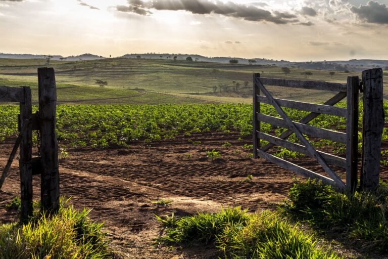 ITR: tudo que você precisa saber do Imposto sobre a Propriedade Territorial Rural