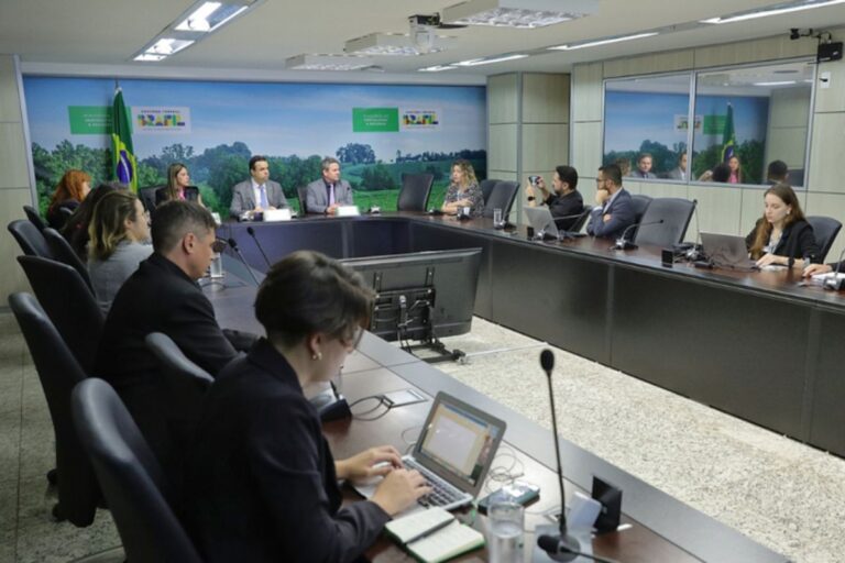 Frigoríficos brasileiros habilitados pela China em março podem gerar R$ 10 bilhões em receita na balança comercial, afirma Mapa