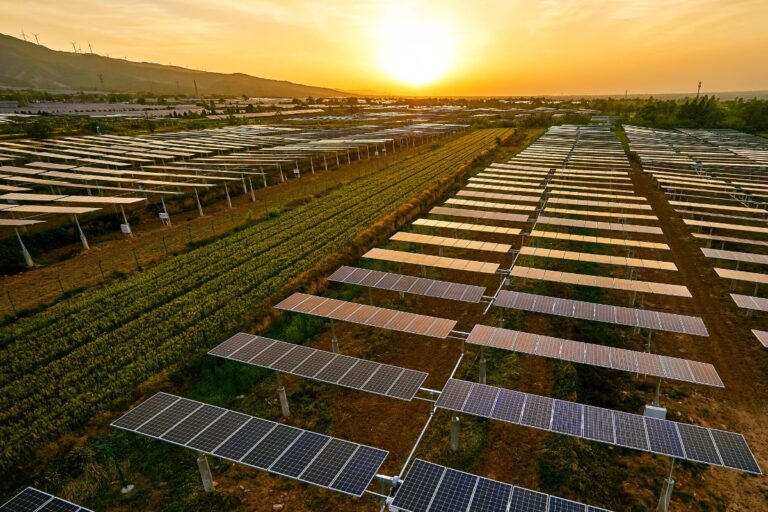 Uma visão sobre novas tecnologias, sustentabilidade e a transição energética no agronegócio