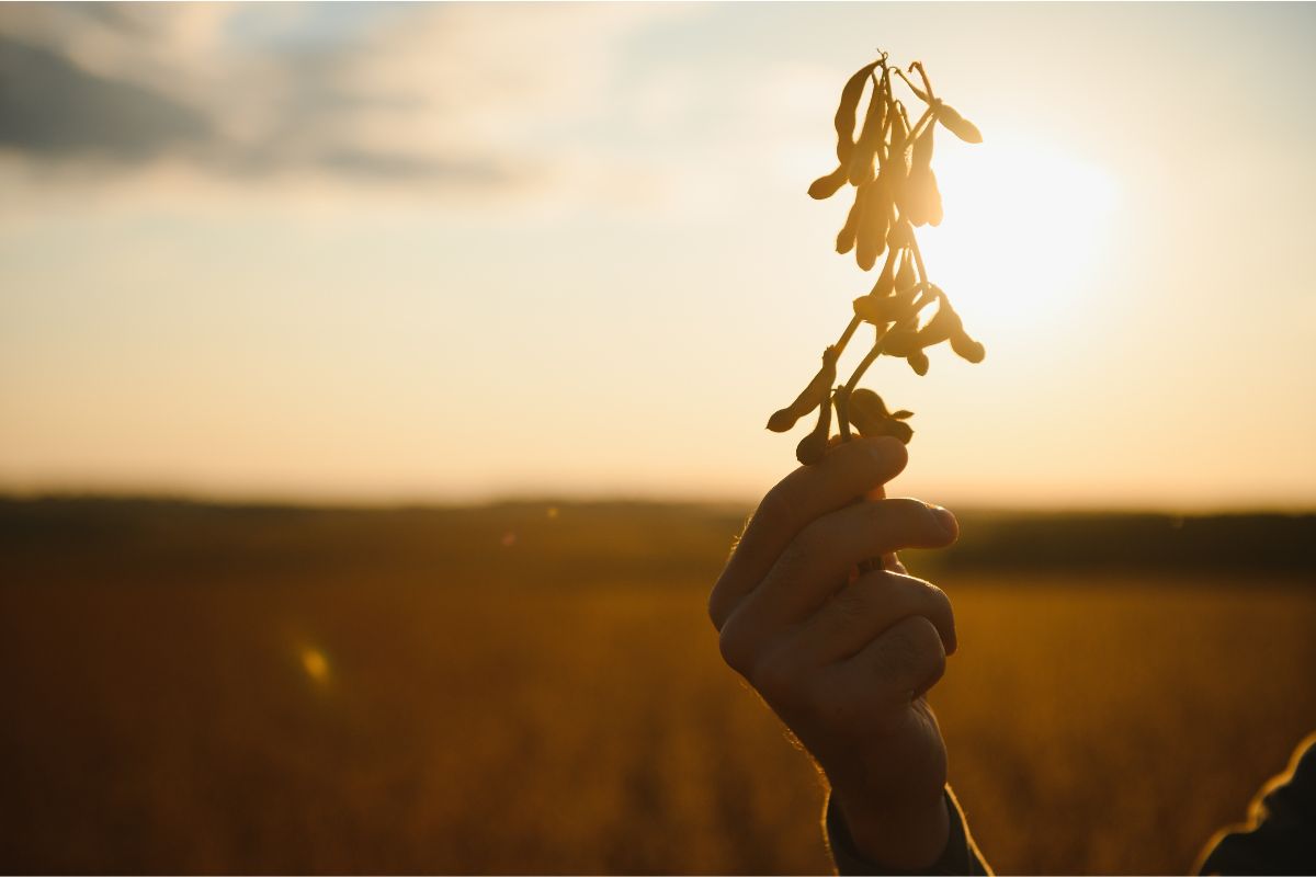Foto: Adobe Stock