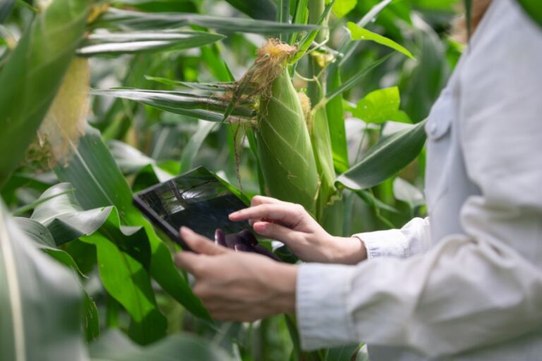 Agro Estadão supera 1 milhão de páginas vistas e reforça compromisso com o setor