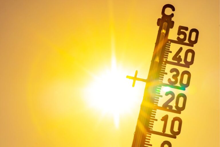 Onda de calor deve começar neste fim de semana e pode prejudicar lavouras tardias