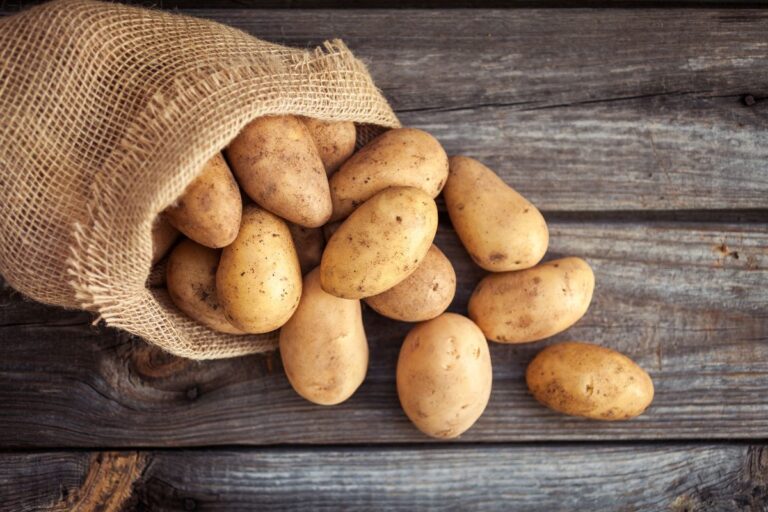 Preço da batata cai no atacado em março, após 5 meses seguidos de alta, diz Conab
