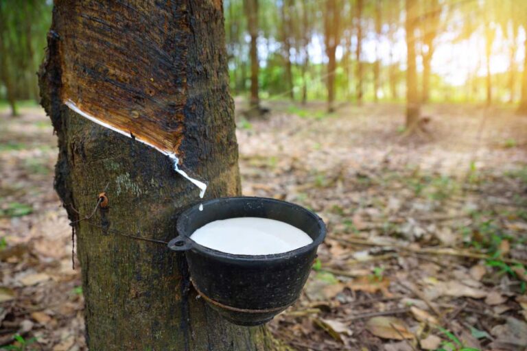 Camex mantém tarifa de 10,8% sobre borracha natural importada de fora do Mercosul