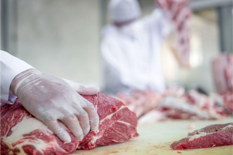 Exportações de carne suína sobem 5,3% no primeiro trimestre de 2024