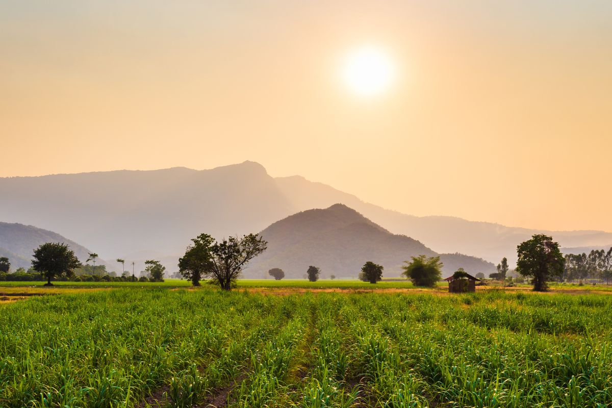 Foto: Adobe Stock