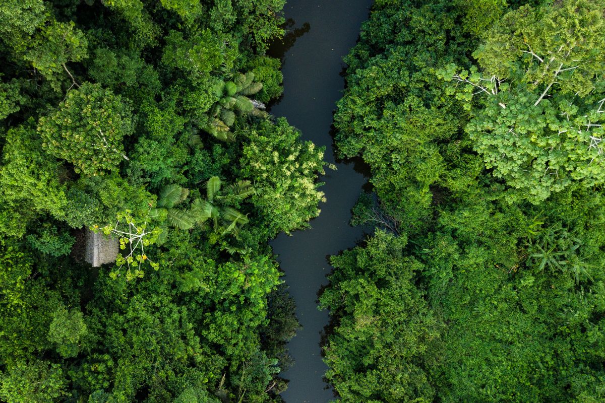 Foto: Adobe Stock