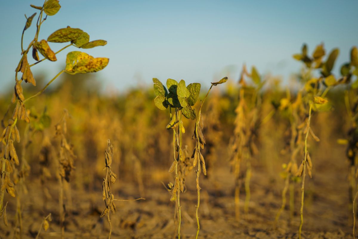 Foto: Adobe Stock