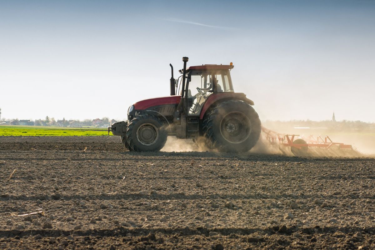 Foto: Adobe Stock